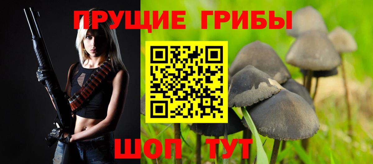 Галлюциногенные грибы Magic Shrooms Тула